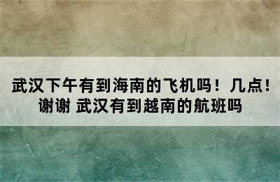 武汉下午有到海南的飞机吗！几点！谢谢 武汉有到越南的航班吗